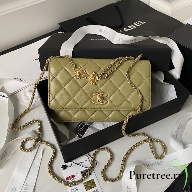 Chanel 22A Vintage Mini Flap Bag With Chamr In Green - 1