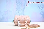 LV Seedy Bandoulière 20 Rose Pink M46518 size 20.5 x 13.5 x 12 cm - 2