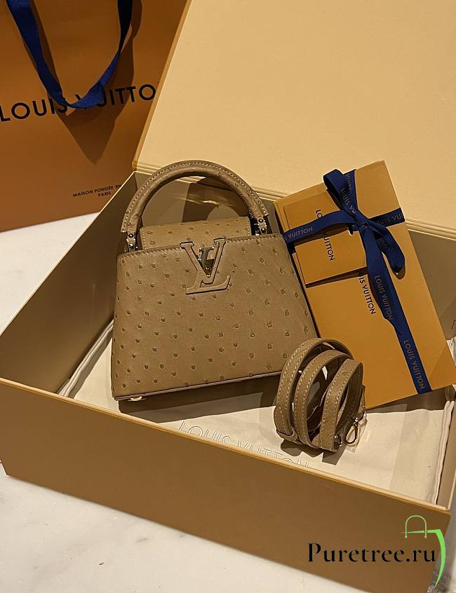 LOUIS VUITTON | Capucines Mini Bag Ostrich Leather - Handbags In Brown - 1
