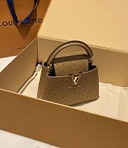 LOUIS VUITTON | Capucines Mini Bag Ostrich Leather - Handbags In Brown - 2