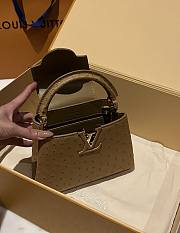 LOUIS VUITTON | Capucines Mini Bag Ostrich Leather - Handbags In Brown - 5
