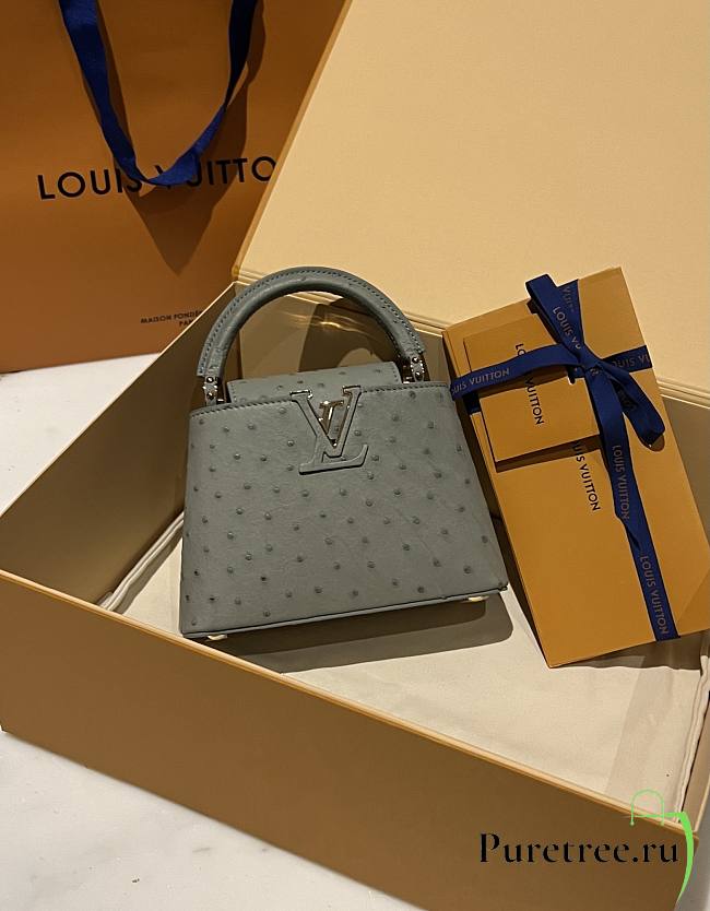 LOUIS VUITTON | Capucines Mini Bag Ostrich Leather - Handbags In Gray - 1