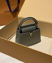 LOUIS VUITTON | Capucines Mini Bag Ostrich Leather - Handbags In Gray - 2