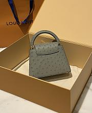 LOUIS VUITTON | Capucines Mini Bag Ostrich Leather - Handbags In Gray - 3