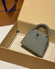 LOUIS VUITTON | Capucines Mini Bag Ostrich Leather - Handbags In Gray - 5