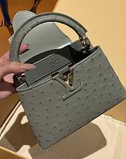 LOUIS VUITTON | Capucines Mini Bag Ostrich Leather - Handbags In Gray - 6