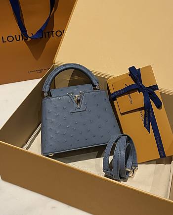 LOUIS VUITTON | Capucines Mini Bag Ostrich Leather - Handbags In Dark Blue