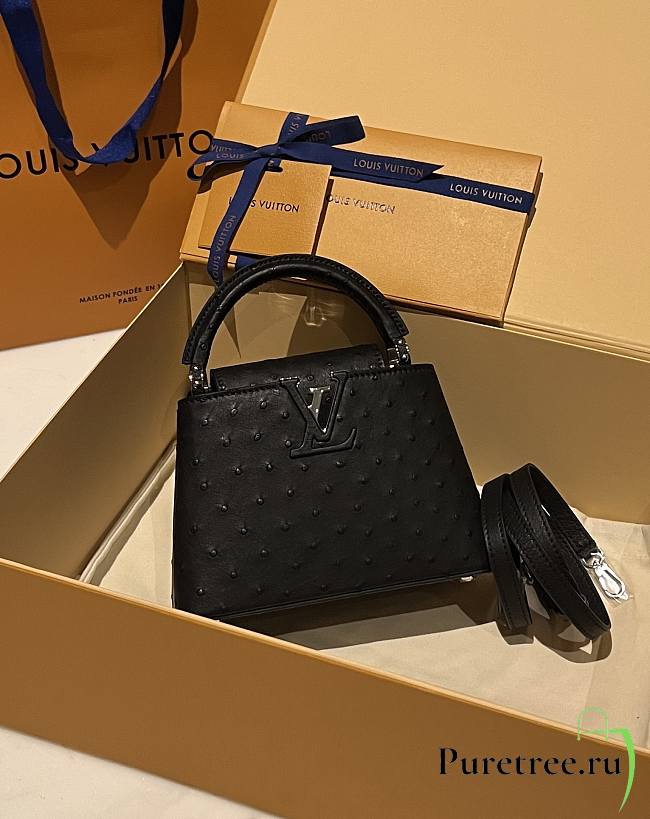 LOUIS VUITTON | Capucines Mini Bag Ostrich Leather - Handbags In Black - 1