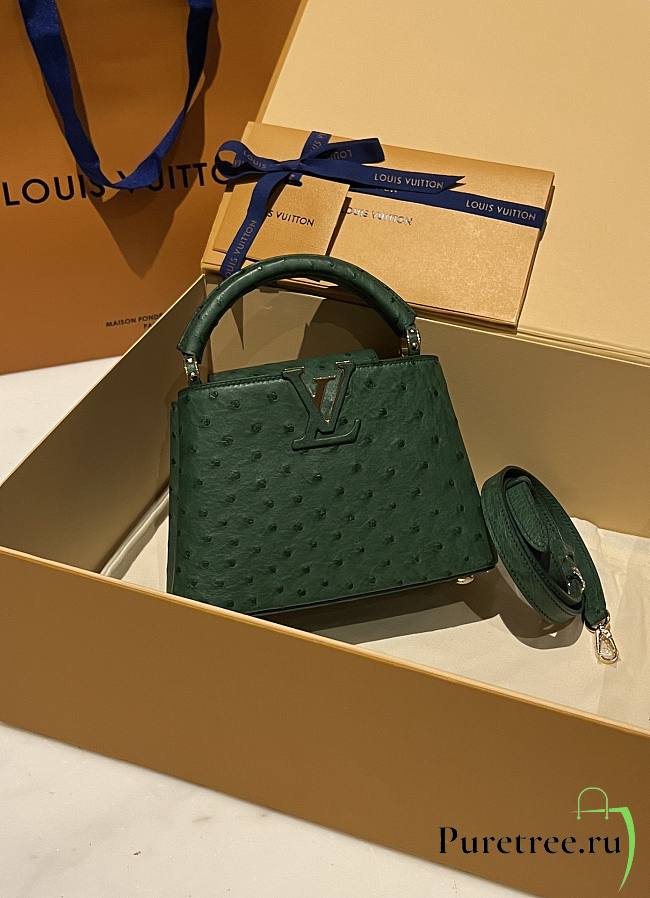 LOUIS VUITTON | Capucines Mini Bag Ostrich Leather - Handbags In Green - 1