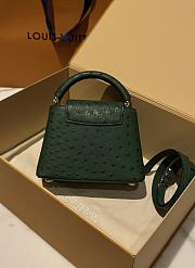 LOUIS VUITTON | Capucines Mini Bag Ostrich Leather - Handbags In Green - 5