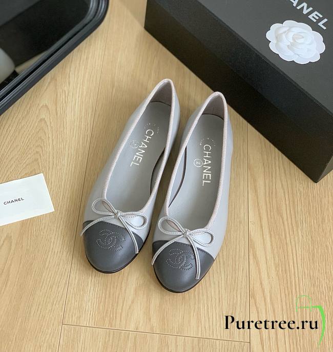 CHANEL | Ballet Shoes In Grey - 1