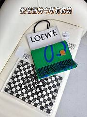 LOEWE | Long Scarf Green - 3