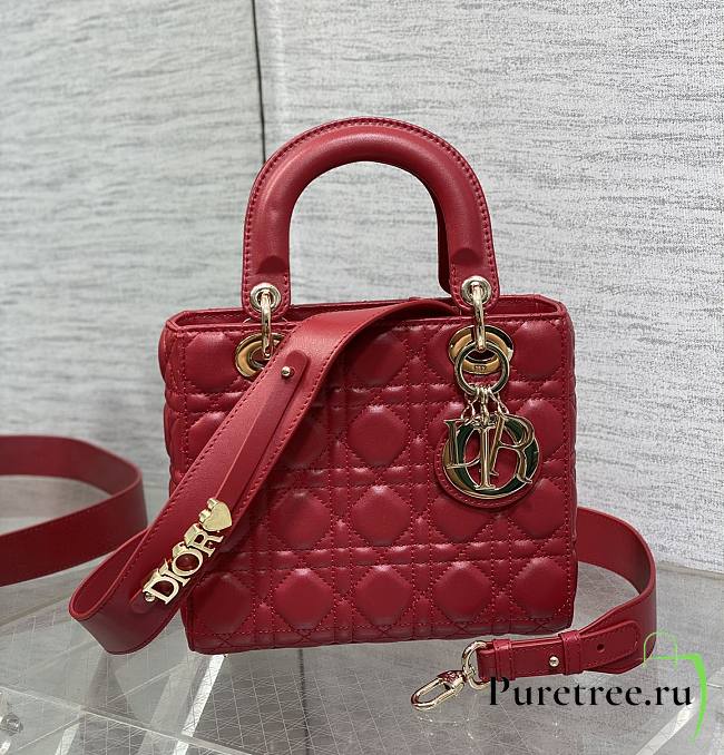 DIOR | Lady Micro Mini In Red - 1