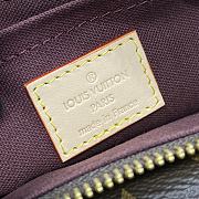 LOUIS VUITTON | Vibe Bag Monogram M46999 - 2