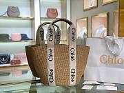 CHLOE | Woody Large Leather-Trimmed Raffia Tote - 1