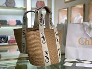 CHLOE | Woody Large Leather-Trimmed Raffia Tote - 4