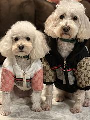 GUCCI | Pet's Clothes Monogram - 1