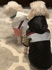 GUCCI | Pet's Clothes Monogram - 2