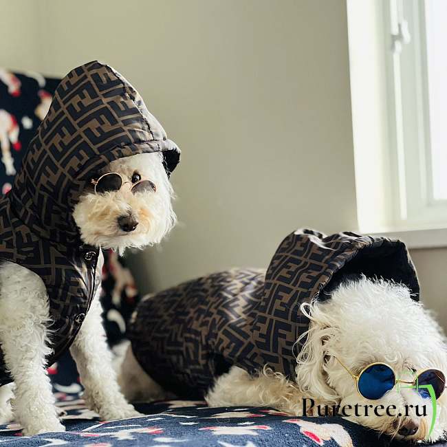 FENDI | Pet's Clothes  - 1