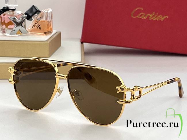 CARTIER | Sunglasses Styles - 1