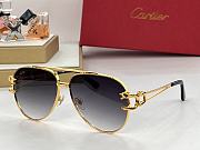 CARTIER | Sunglasses Styles - 5