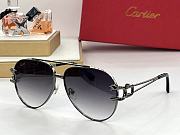 CARTIER | Sunglasses Styles - 3