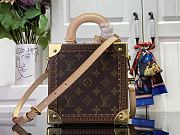 LOUIS VUITTON | Leopard Mini Square Trunk Bag M11210 - 2