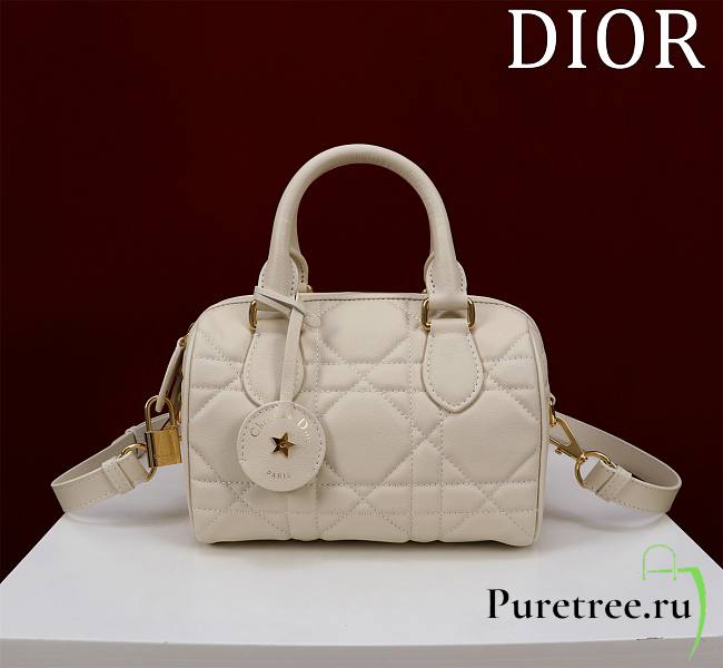 DIOR | Groove 20 Bag Dusty Ivory Macrocannage Calfskin - 1