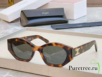 Celine Sunglasses CL40238U