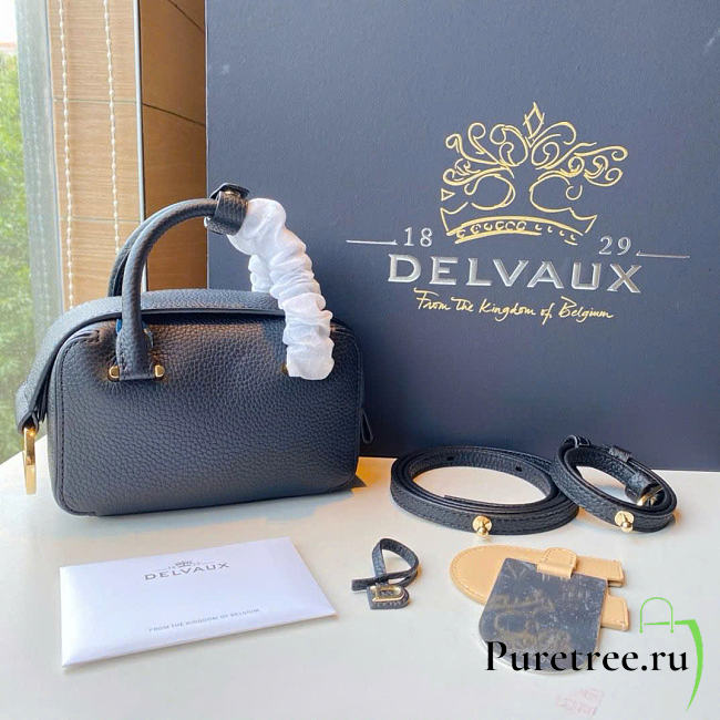 DELVAUX | Cool Box Nano In Taurillon Soft Navy Color - 1