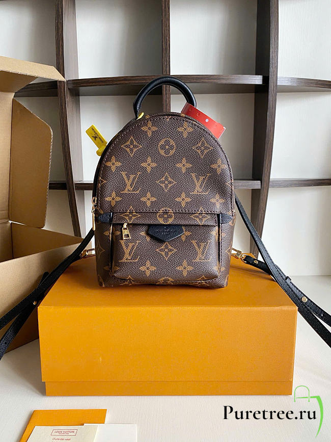 LOUIS VUITTON | Palm Springs Mini Monogram Coated Canvas M44873 - 1