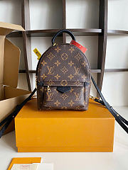 LOUIS VUITTON | Palm Springs Mini Monogram Coated Canvas M44873 - 1