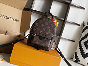 LOUIS VUITTON | Palm Springs Mini Monogram Coated Canvas M44873 - 6