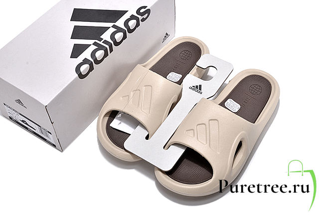 ADIDAS | Sandal 01 - 1