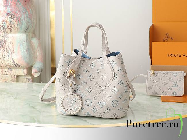 LOUIS VUITTON | Blossom PM Bag Brume Gray - 1