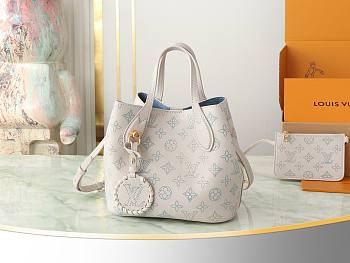 LOUIS VUITTON | Blossom PM Bag Brume Gray