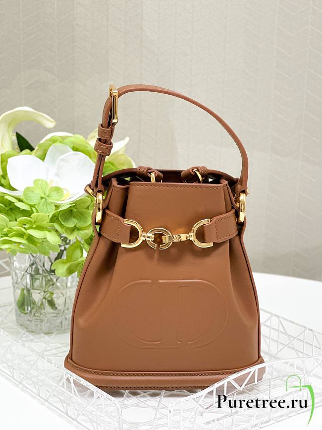 DIOR | Small C'est Dior Bag CD-Embossed Calfskin Brown - 1