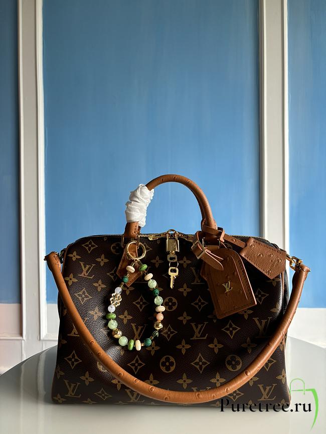 LOUIS VUITTON | Speedy Soft 30 Boho N87212 - 1