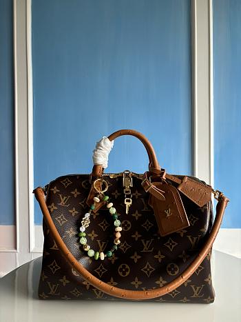 LOUIS VUITTON | Speedy Soft 30 Boho N87212