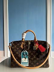 LOUIS VUITTON | Speedy Soft 30 Crafty M11945 - 1