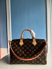 LOUIS VUITTON | Speedy Soft 30 Crafty M11945 - 2