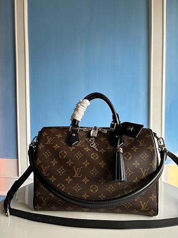 LOUIS VUITTON | Speedy Soft 30 Dark M12243