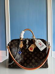 LOUIS VUITTON | Speedy Soft 30 Crafty Monogram  - 1