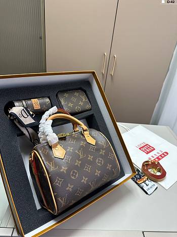 LOUIS VUITTON | Speedy 20 and Wallet Collection