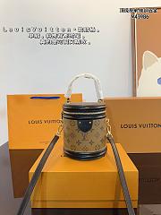 LOUIS VUITTON | Cannes Monogram M43986 - 2