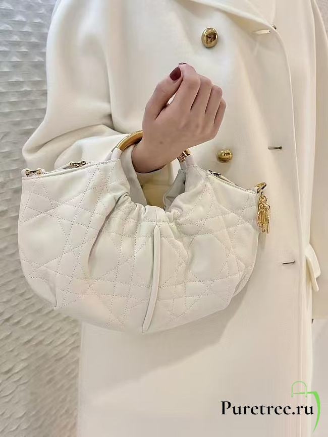 DIOR | Walk in Purse White Macrocannage Calfskin - 1