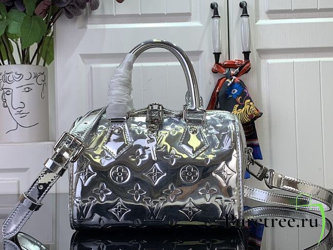 LOUIS VUITTON | Speedy Bandoulière 20 Silver - 1