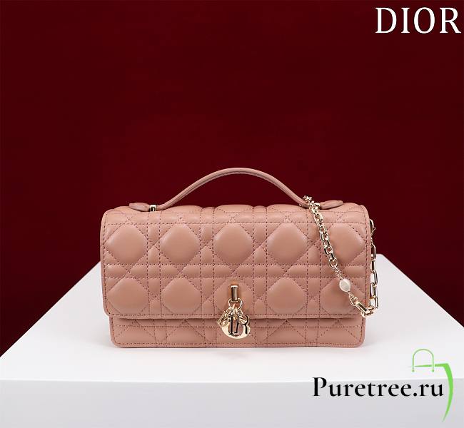 DIOR | My Dior Mini Bag Rose des Vents Cannage Lambskin - 1