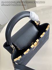 LOUIS VUITTON | Capucines Taurillon Monogram M48865 - 6