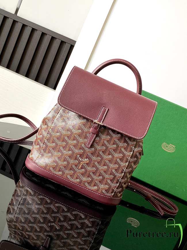 GOYARD | Alpin Backpack Coated Canvas Burgundy - 1